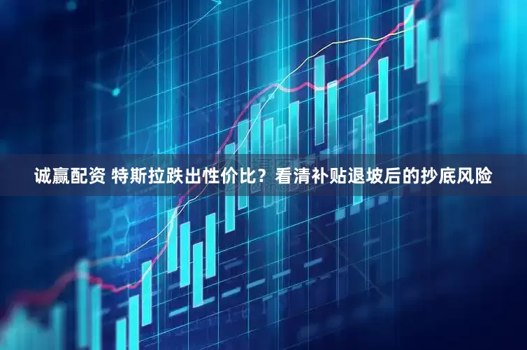 诚赢配资 特斯拉跌出性价比？看清补贴退坡后的抄底风险